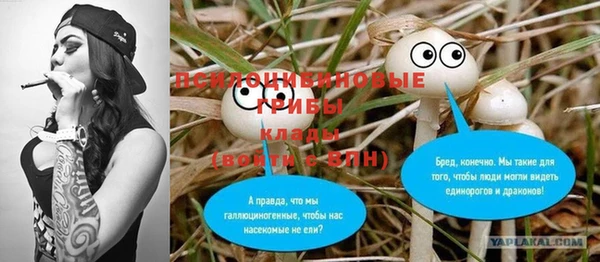 первитин Горняк