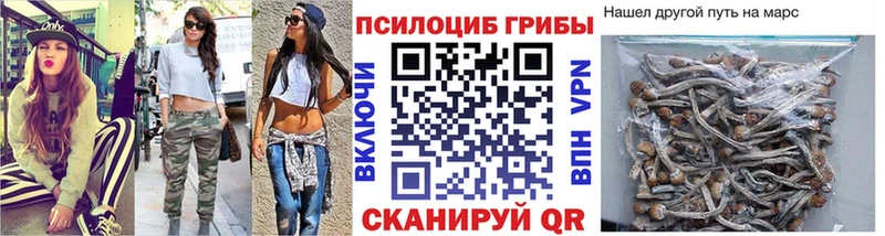 Псилоцибиновые грибы MAGIC MUSHROOMS  Вологда 